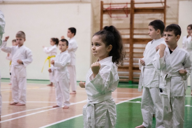 karate examen centuri satu mare 2